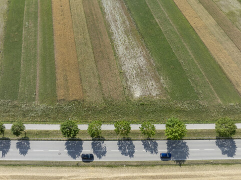 Aerial view of a road with two cars driving past a row of green trees, bordered by agricultural fields with different crop patterns in Vaterstetten, Bavaria, Germany.