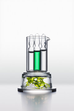 glass flasks and algae in containers.