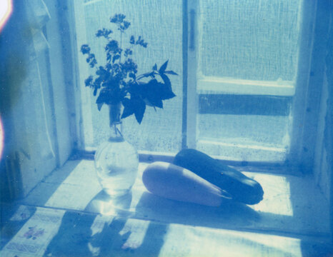 Summer still life with flowers and vegetables