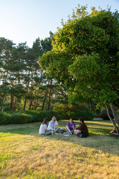 Students sitting together on grass in park for group study