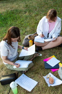 Two students studying together outdoors on grass with notebooks