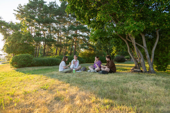 Group of students studying together in park under trees