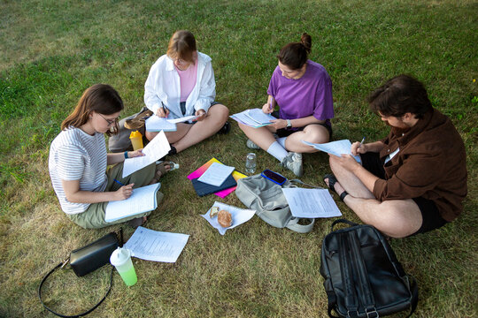 Students studying together on grass preparing for exam