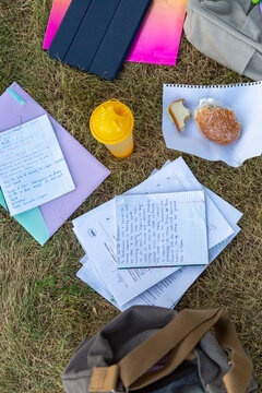 Student study session outdoors on grass with notes and snacks