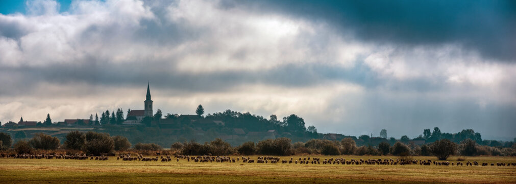 Large flock of sheep grazing in a rural Transylvanian landscape, with a village church and houses on a hillside beneath dramatic clouds in Romania.
