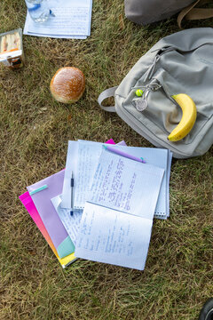 Student studying outdoors on grass with notebooks and snacks