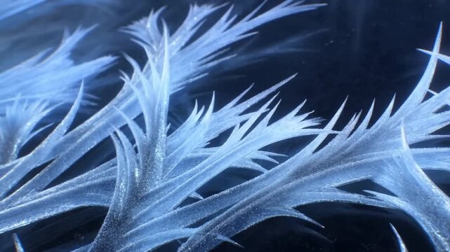 Frost crystals covering dark surface in closeup with jagged frozen growth patterns