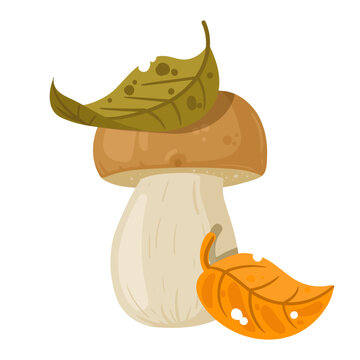 Autumn mushroom with leaves. Cartoon edible wild mushroom with leaves on the cap flat vector illustration. Forest shroom plant isolated on white background