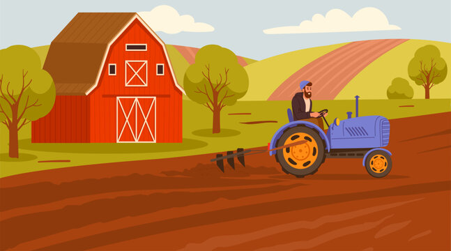 Farm tractor scene. Male farmer harvesting, red barn, farmer driving tractor through cultivated field flat vector illustration. Rural agriculture landscape