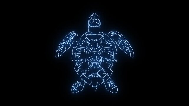 Electric Blue Neon Sea Turtle Swimming Motion Graphic Isolated on Black Background Loop