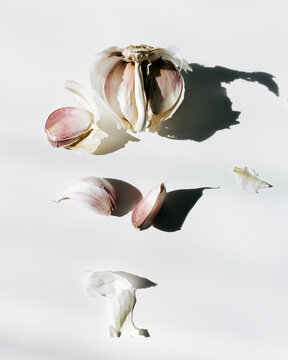 Garlic Bulb and Cloves