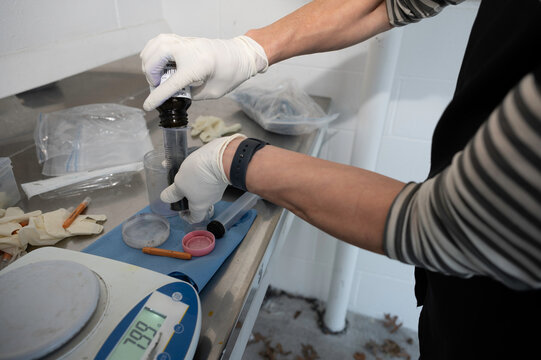 Preparing methylene blue for nitrate poisoning in cows.