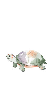 Cute Turtle Illustration Isolated on White Background
