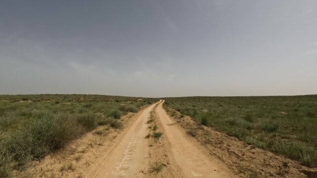 SUV driving on dirt road through open landscape with vegetation on both sides