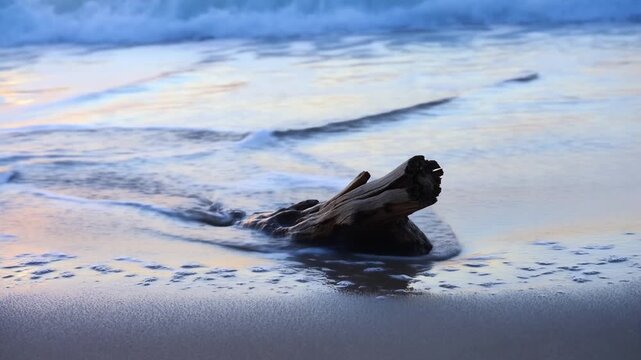 Driftwood log resting on wet sand with ocean waves in background