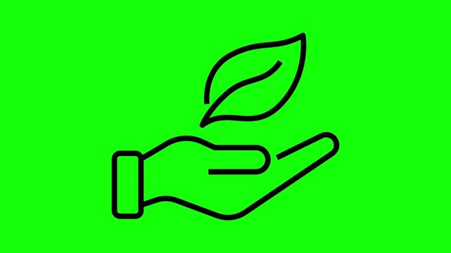 Animated Black Line Art Icon of a Hand Holding a Leaf on a Green Screen Background for Ecology and Nature Concepts