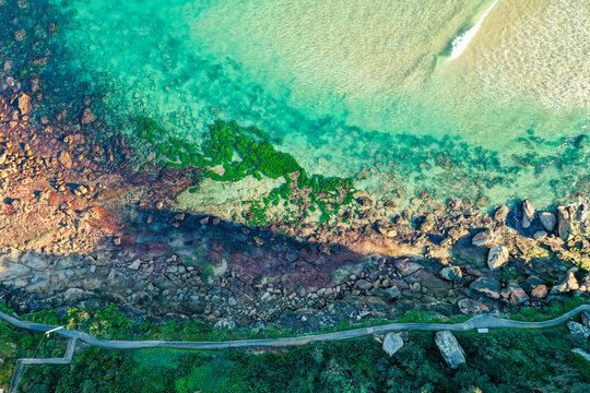Freshwater Beach, Sydney, Australia lagoon with green seaweed