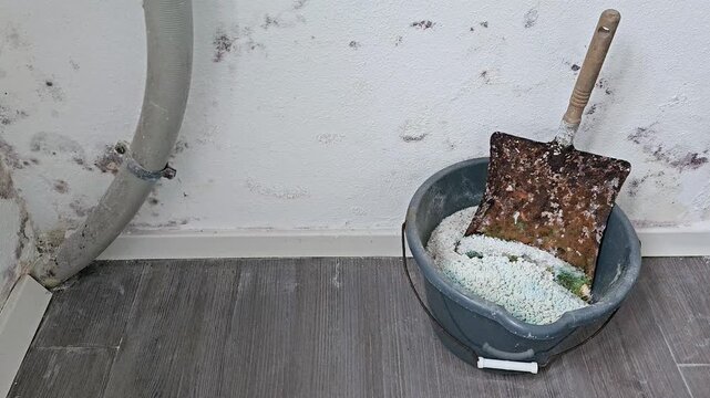 A bucket contains a moldy sample on a bed of granular material; a shovel rests atop it, while the adjacent wall and pipe show signs of moisture damage in an indoor setting