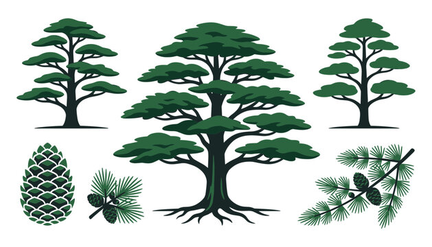Green pine cedar tree vector set featuring detailed evergreen trees branches needles and pinecones isolated on white background