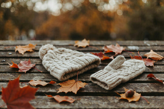 Cozy cream knitted beanie hat with a pompom and a matching warm woolen mitten resting on a rustic weathered wooden surface surrounded by vibrant colorful autumn leaves and a small acorn