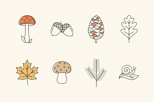 Collection of minimalist outline vector illustrations depicting natural autumnal and woodland elements red mushroom acorn pine cone oak leaf maple leaf brown mushroom pine branch and snail on a leaf