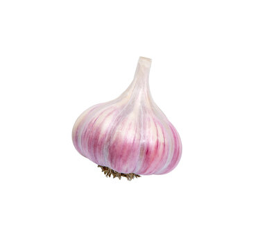 Whole garlic bulb on white