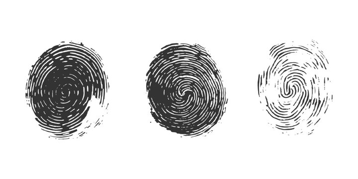 Abstract black fingerprint impressions security and identity concept isolated on white background graphic vector illustration.