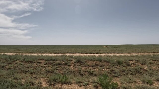 Scenic view from SUV driving along a dirt road through open grassland