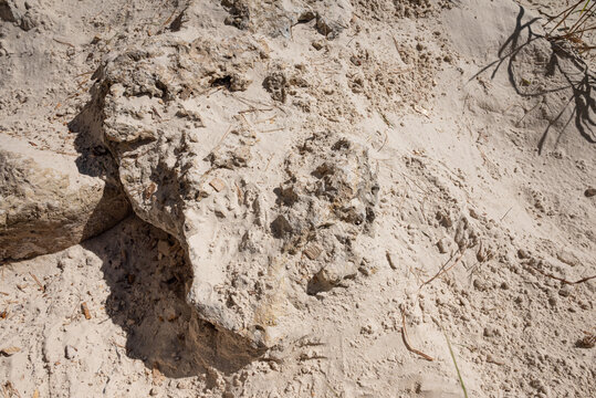 Dry sandy soil background
