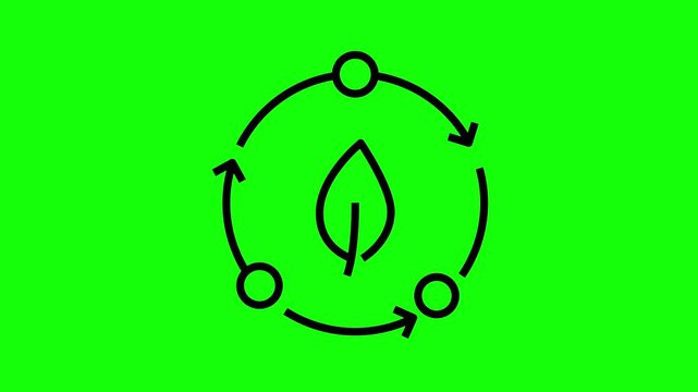 Animated black recycling leaf icon with circular arrows on green screen key for eco friendly concept motion graphics.