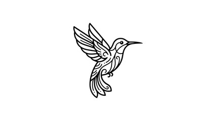 Fototapeta premium Black line art hummingbird illustration.