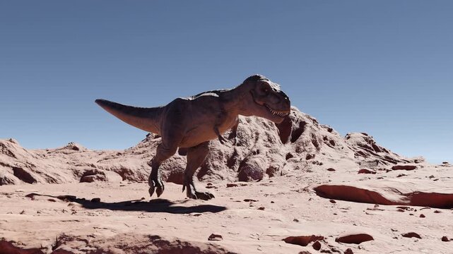 3d animatin of Tyrannosaurus Rex walking and roaring in arid prehistoric desert landscape. Giant carnivore predator moving across rocky canyons and barren cliffs in cretaceous background