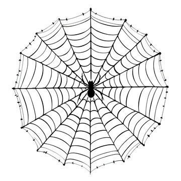 Hand-drawn vector illustration of a spider web with a black spider isolated on white background