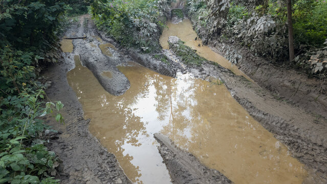 Close up outdoor stock photo of a rugged unpaved forest track filled with deep mud ruts, muddy water puddles, and tire tracks surrounded by green foliage. Concept for offroad driving, bad weather trav