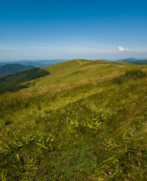 High-angle panoramic view of rolling mountain ridges, sloping grassy hillside, and expansive clear blue sky on a sunny day.