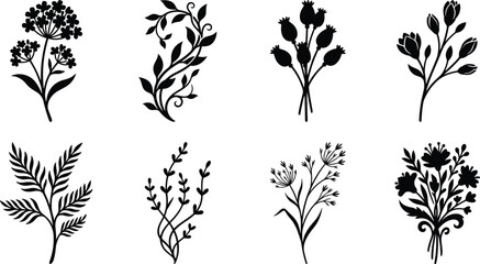 Fototapeta premium Wildflower Botanical Silhouette Vector Set with Floral Stems and Garden Plants