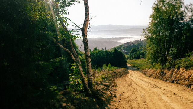 Wide landscape view of a unpaved dirt road winding down a mountain hill lined with trees and a white birch trunk in the foreground. Layers of misty valleys and distant mountain ridges extend under a s