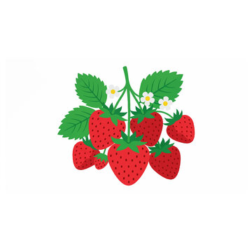 Fresh red strawberry bunch with green leaves and white flowers for healthy snacks.