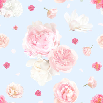Blue floral with pink rose, white hydrangea, ranunculus, tulips, peony seamless vector floral pattern. Tileable print with flowers for a baby nursery. Flower watercolor backdrop. Elements are Isolated
