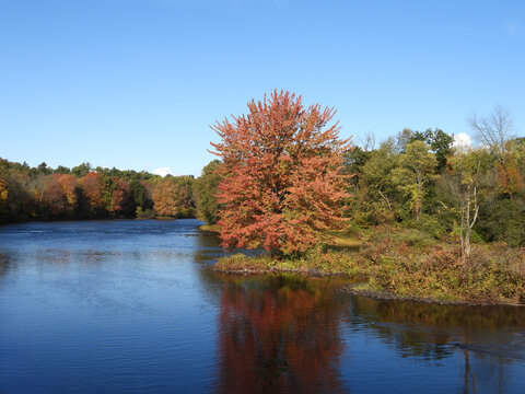 The scenic beauty of the Saranac River that runs through Adirondack Park, during the autumn season. Forested mountain region within northern New York.