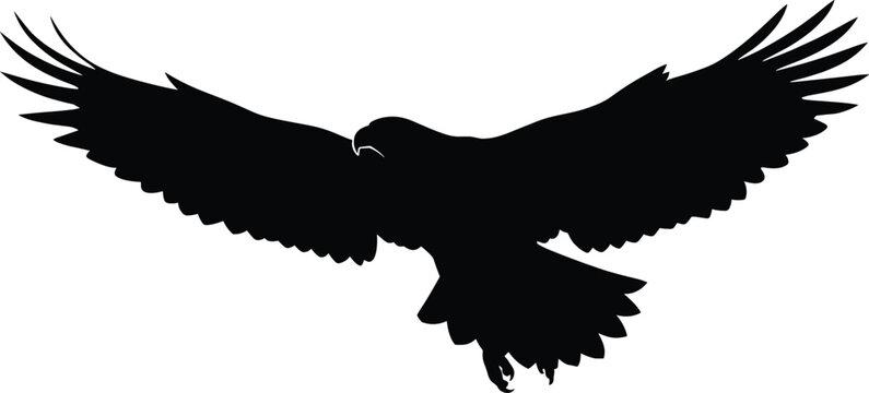 Eagle Silhouette Vector Illustration Showing Majestic Bird of Prey in Flight with Fully Spread Wings and Curved Beak