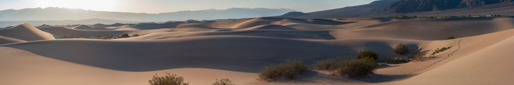 Beautiful wide panorama of Mesquite Flat Sand Dunes at sunrise in Death Valley
