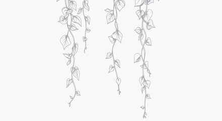 Minimalist ivy vine line art, hanging botanical leaf sketches, elegant hand drawn floral border vector for wedding stationery © FATEMA