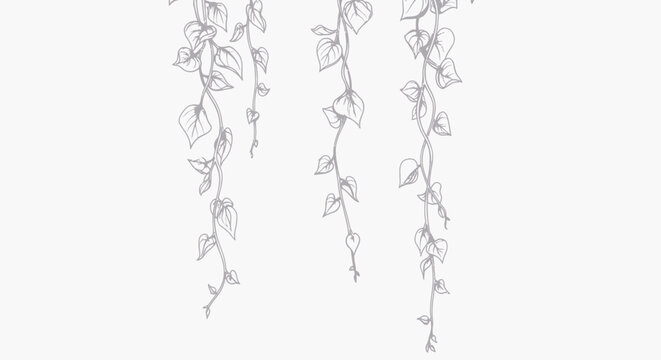 Minimalist ivy vine line art, hanging botanical leaf sketches, elegant hand drawn floral border vector for wedding stationery