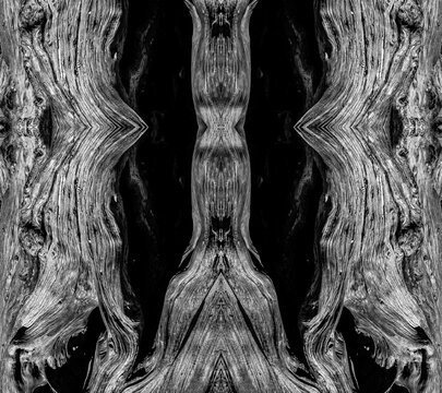 Detailed black and white macro texture of dead wood grain. Mirrored organic pattern forming abstract dark shapes, ideal for spooky themes, horror backgrounds, and fine art concepts.