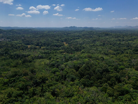 Aerial view of the lush tropical rainforest and rolling hills of Karang Intan, South Kalimantan, Indonesia.