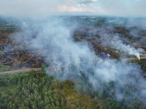 Aerial view of a forest fire with thick smoke rising over charred land and green trees in Banjarbaru, South Kalimantan, Indonesia.
