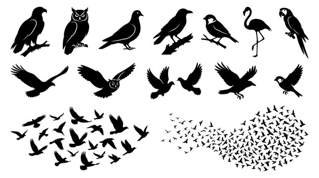 Set of black silhouettes of various birds in flight and perched isolated on a white background
