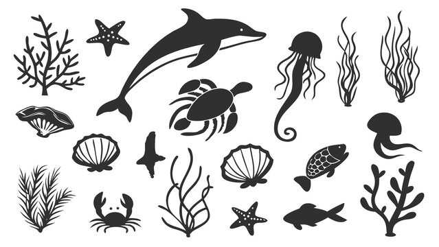 Set of Flowers and Plants with Butterfly, Bee, Dragonfly, Beetle and Insect Silhouettes, Nature Vector Illustration Collection for Pattern and Decorative Design