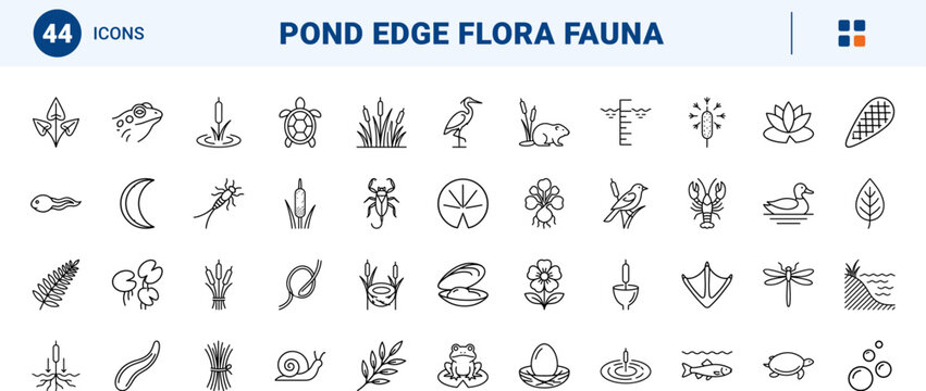 Cattail pond edge line icon set. Vector pictograms of marsh wetland, pond wildlife, reed flora, and aquatic ecosystem elements, thin linear illustration.